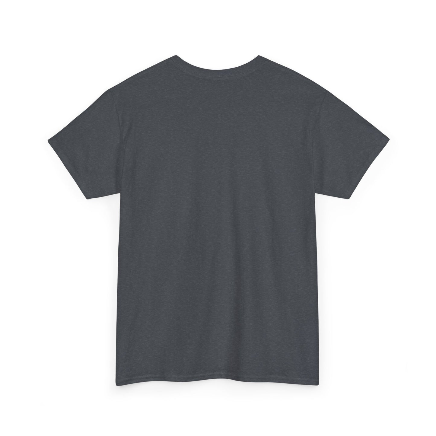 Catflix & Chill T-Shirt – Funny Cat Meme Shirt – Cozy Netflix Parody Tee – Unisex Cat Lover Gift